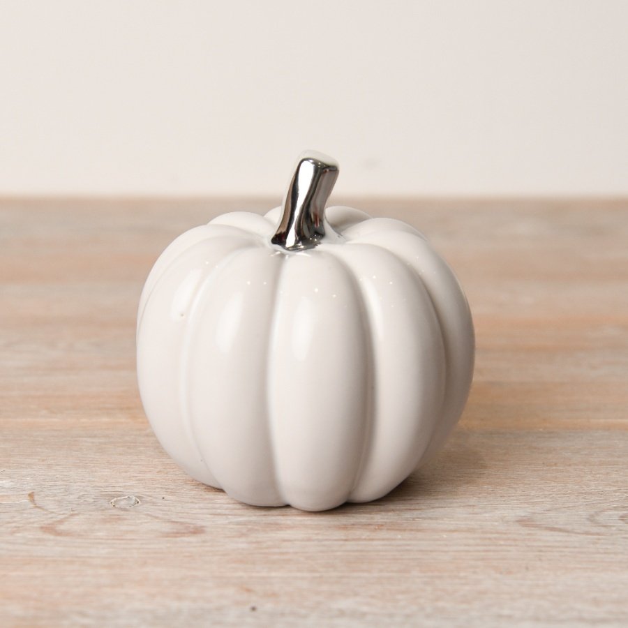 White Pumpkin with Silver Stalk - Party Seasons