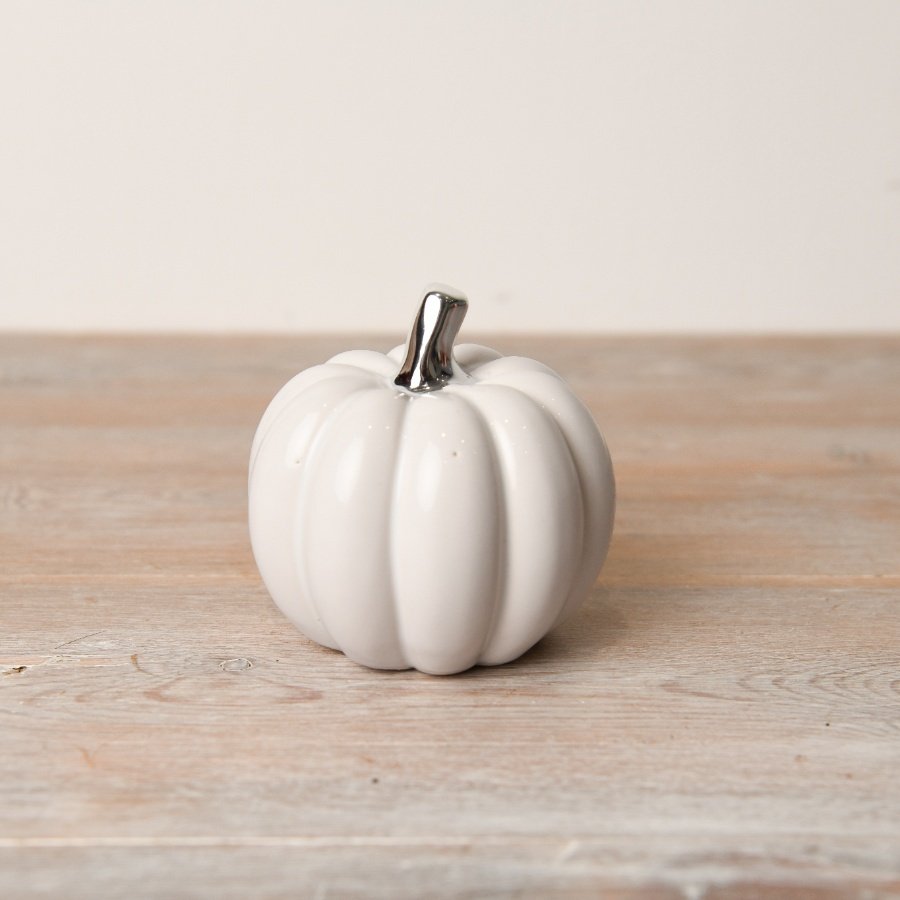 White Pumpkin with Silver Stalk - Small - Party Seasons